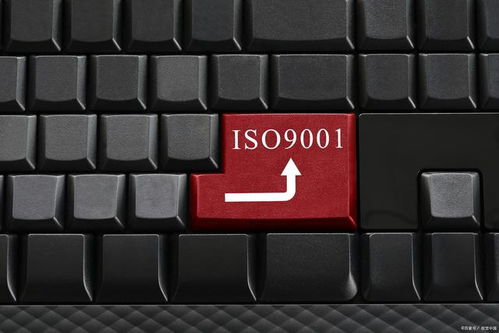 為何這些企業無需進行ISO 9001認證？